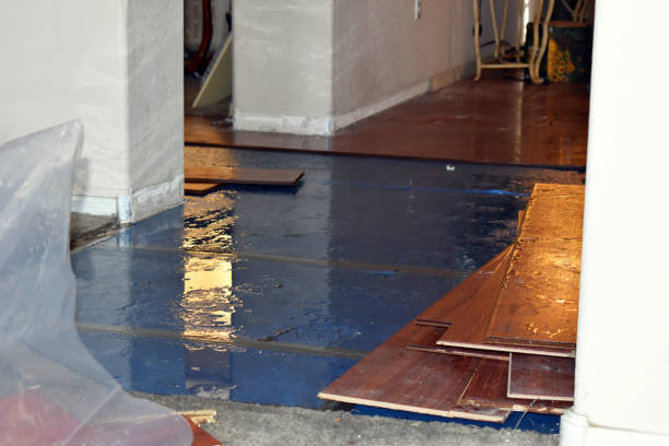 Professional Sewage Cleanup technician working in Castalia, NC